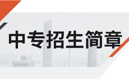 武汉三新职业技术学校2020年招生简章（图片版）