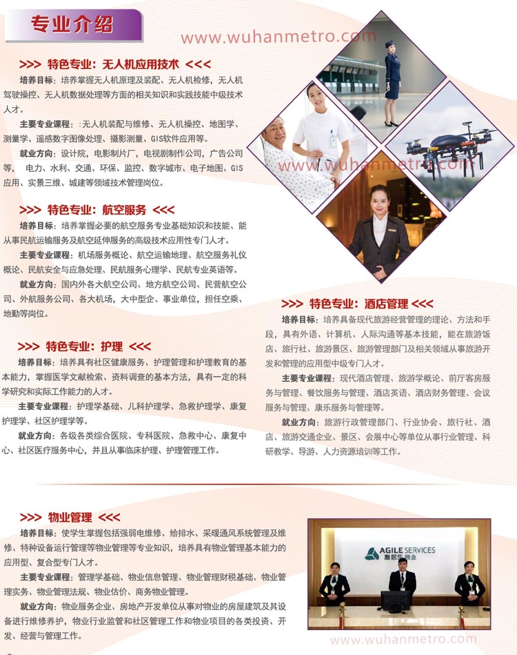 武汉三新职业技术学校2020年招生简章（图片版）